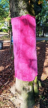 Rožnati oktober (5)